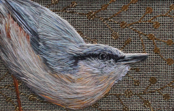 Emily-Tull_Spirit-of-the-woods-Nuthatch