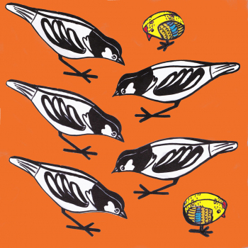 Birds-7-orange