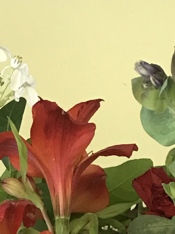 Flowers-4-AP