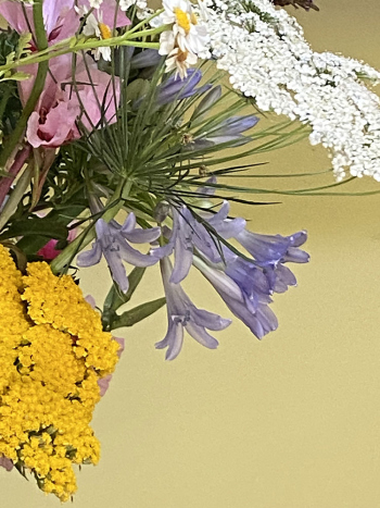 Flowers-6-AP