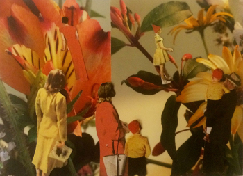 Walk-in-the-park-AP-13