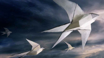 swallows-WIP-A5