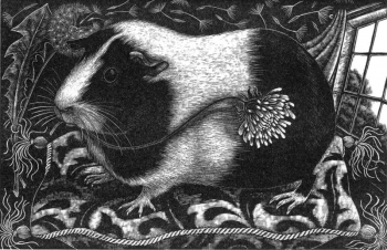 rosamund_fowler_wood_engraving_001