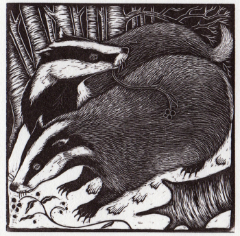 rosamund_fowler_wood_engraving_017