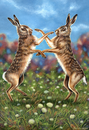 Hares