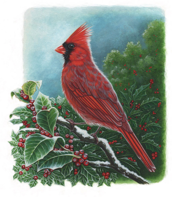 Red-Cardinal-with-snow