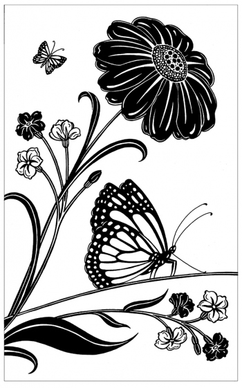 butterfly2