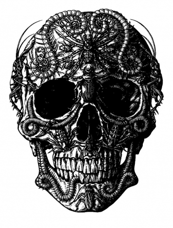 skull