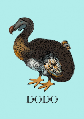 Dodo