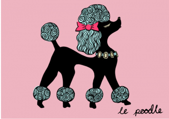 Le-poodle