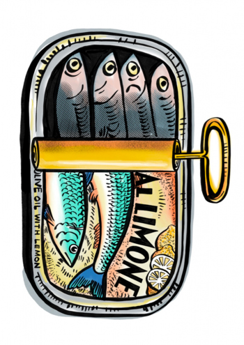 Sardines