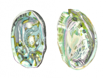 150727Z Abalone Shells II