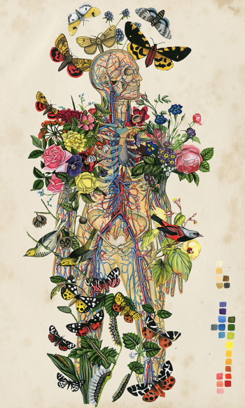 Anatomical-Botanical-Thicket