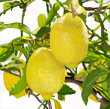 Lemons I