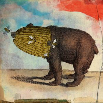 BEAR-card