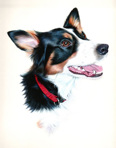 sally_taylor_spotlight_02